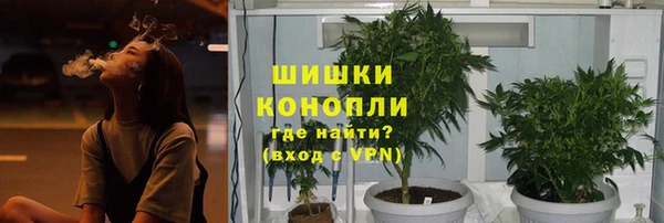 прущие крисы Арсеньев